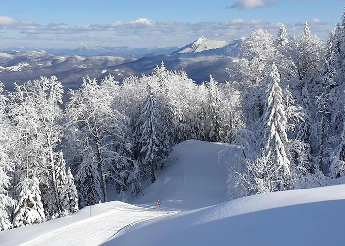 Olimpijska Kuca A * ياهورينا